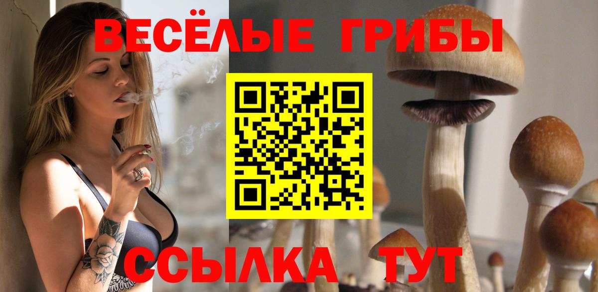 Галлюциногенные грибы Cubensis Тихвин